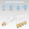 OHLECTRIC CA5 Incandescent Decorative Light Bulb - Flame Shaped Light
