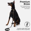 Scout Supply Classic Leather Dog Leash | Strong Heavy Duty