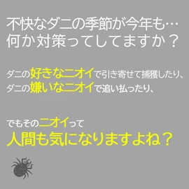 Alphax Mite Protection Sheet, Place Unscented Mite Sheet, Small Size, 3.5 x 17.7 inches (9 x 45 cm), 1 Sheet, Lasts 3 Months, Made in Japan, Comforter, Pet