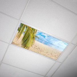 Fluorescent Light Cover for Classroom Ceiling Lights - Premium Backlit Film Insert 2x4 (22.38"x46.5") Florescent Fixture (Pack of 1) School, Office, Sensory, Improve Focus, Eliminate Headaches - Beach