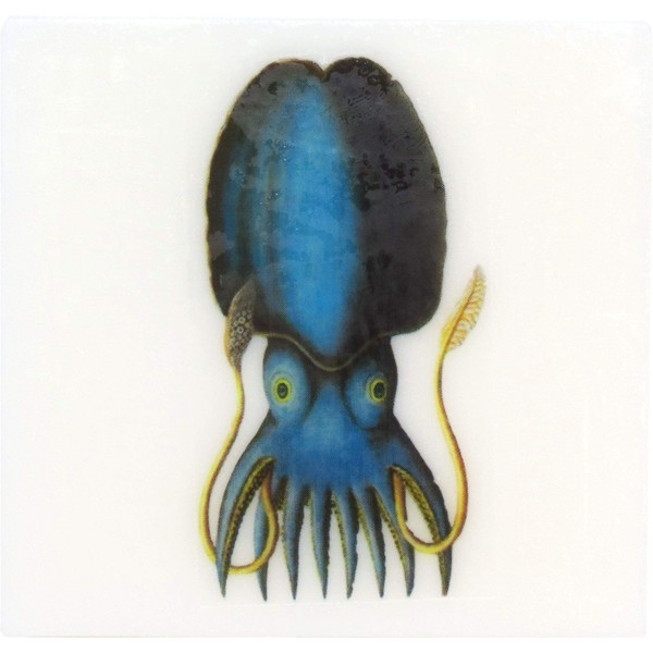 Violet Fields Scented Glycerin Soap with Vintage Ocean Creatures, Squid