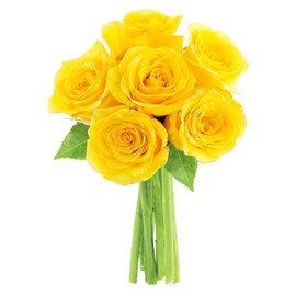 KaBloom Flowers - Valentine Collection - Yellow Sunshine Bouquet of 6 Fresh Cut Yellow Roses Without Vase - Gift for Birthday, Valentine, Mother’s Day Fresh Flowers