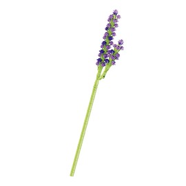 Balody Purple Flower Model with Mini Building Blocks
