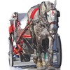 SS11122 White Horse Drawn Carriage Stand in Cardboard Cutout Standee