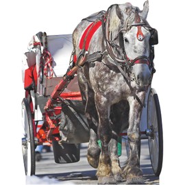 SS11122 White Horse Drawn Carriage Stand in Cardboard Cutout Standee Standup