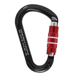 ROC 'Teryx (rokkuterikusu) sutorongukuikkurokku