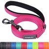 VIVAGLORY Dog Lead, Dog Training Lead with Comfortable Neoprene Padded