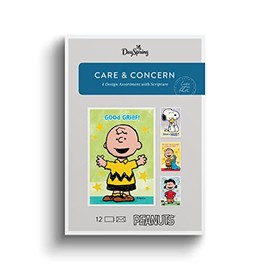 DaySpring - Need a Hug? - 4 Peanuts Greeting Card Assortment with Scripture - 12 Care & Concern Boxed Cards & Envelopes (U1201)