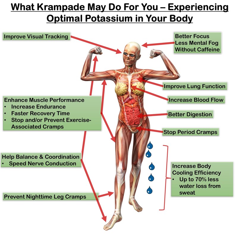 Krampade Original 2K - 2000mg High Potassium Cramp Relief Electrolyte
