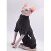 Ropa de gato sin pelo, cálida y suave, otoño e