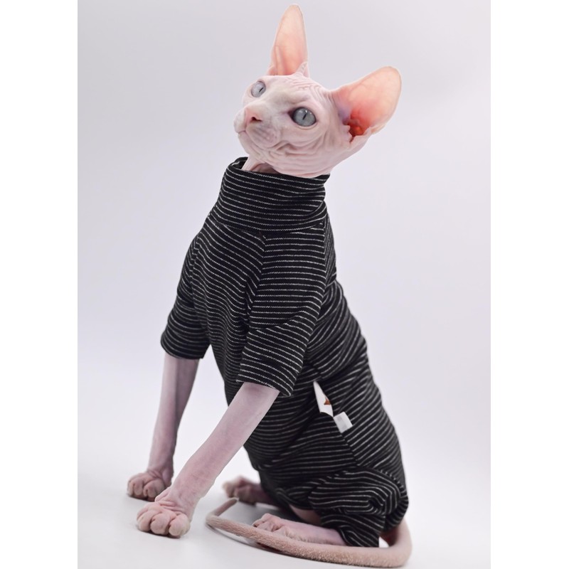 Ropa de gato sin pelo, cálida y suave, otoño e