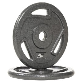 Fitvids Cast Iron 1-Inch Standard Weight Plate for Strength Training & Weightlifting, Multiple Weights Available, 5LB Pair