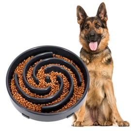 JASGOOD Slow Feeder Dogs Bowl for Large Dogs,Anti-Gulping Pet Slower Food Feeding Bowls Stop Bloat,Preventing Choking Healthy Design Dogs Bowl