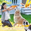 KALOLINNA Loud Chicken Funny Chicken, Set of 2, Shouting Chicken,