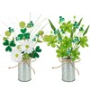 Phliofd 2 Pack St. Patrick's Day Floral Pick in Vase,