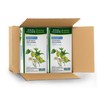 Four O'Clock Herbalist Calm Good Night Herbal Tea, Non-Gmo, Kosher,