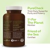 Natures Way NutraSea Softgels Menta Fresca 60 c - Suaves
