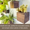 LaLaGreen Indoor Planter Box for Plants (4x4 Inch, 12 Pack)