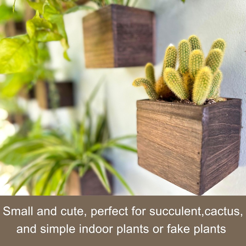 LaLaGreen Indoor Planter Box for Plants (4x4 Inch, 12 Pack)