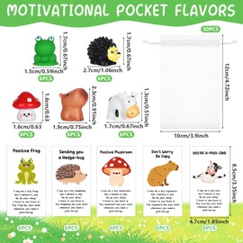 30 Sets Employee Appreciation Gifts Bulk for Coworkers Thank You Staff Gift Animal Pun Inspirational Note Cards Funny Resin Frog Cow Capybara Hedgehog Mushroom Office Gifts Pocket Favors