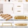 Gold Solid Metal Door Handle Handles with Plates and Screws
