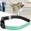 USB Rechargeable LED Pet Adjustable Carved Collar Dog Lighting Night