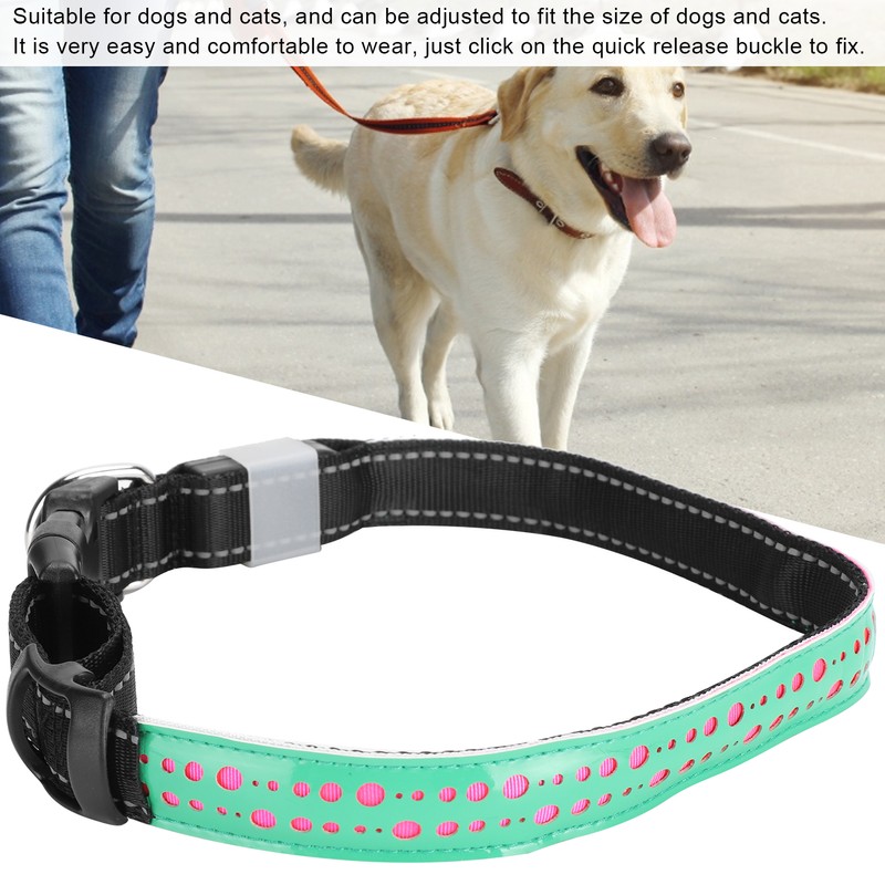 USB Rechargeable LED Pet Adjustable Carved Collar Dog Lighting Night