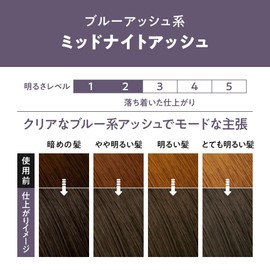 Liese Kao Bubble Hair Color Midnight Ash