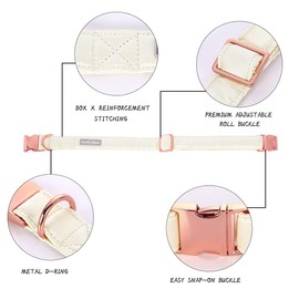 Lionet Paws Silk Dog Collar and Leash Set, Adjustable Comfortable White Dog Collar with Metal Buckle for Small Medium Large Dog Boy Girl Gift, Neck 10-16 Inches