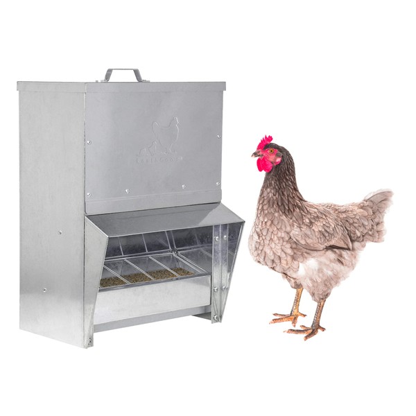 RentACoop Galvanized Chicken Trough Feeder, Weatherproof Poultry Food Dispenser with