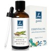 GM Gumili Citronella Essental Oil for Diffuser Aromatherapy - 1