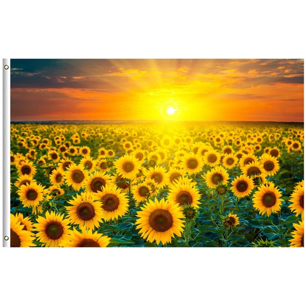 Txtains Sunflower Flower Fields Farm Sunset Spring Summer Nature Landscape