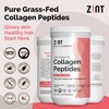 Zint Collagen Peptides Powder (16 Ounce): Anti Aging Hydrolyzed Collagen