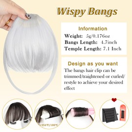 Wodelanle Bangs Hair Clip in Bangs, Fake Bangs Natrual Clip in Hair Extensions, Easy to Use Faux Bangs Clip on bangs, Wispy Bangs Fringe with Temples Hairpieces for Daily Wear (Silver Gray)