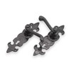 Infinity Decor Antique Black Fleur De LYS Pattern Lever Door