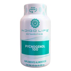 Suplemento Cápsulas Indigo Life Pycnogeno Pycnogenol 20g
