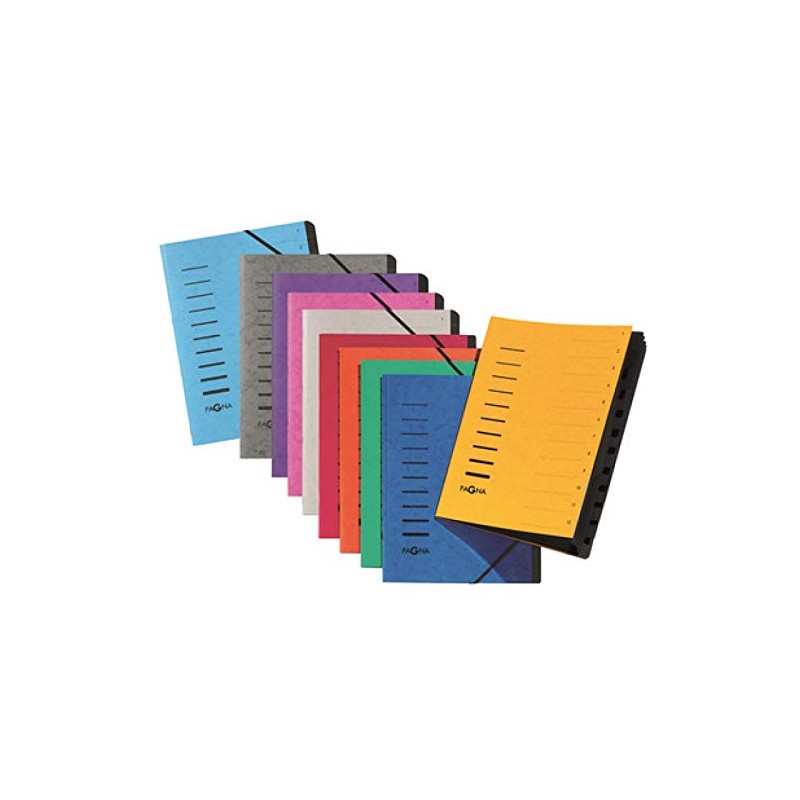 Pagna 40059-21 File Folder 12 Compartments Light Grey