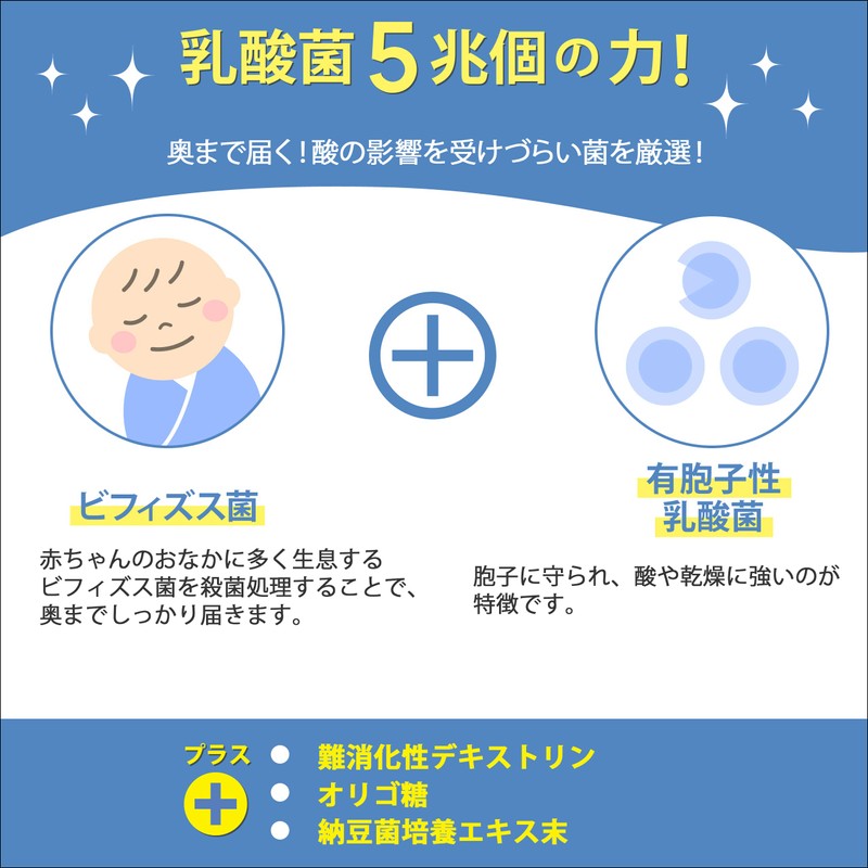 乳酸菌 フローラ 5兆個 33種類の乳酸菌 ビフィズス菌 サプリメント オリゴ糖 乳酸菌30日分