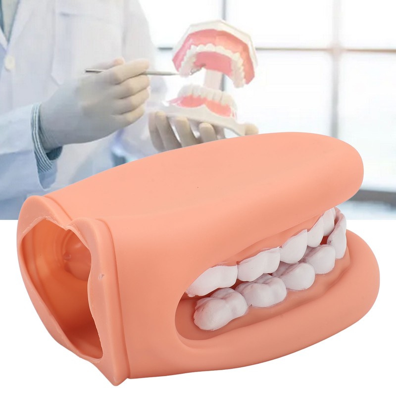 Mouth Puppet with Tongue 28 Teeth Silicone Speech Therapy Demonstration
