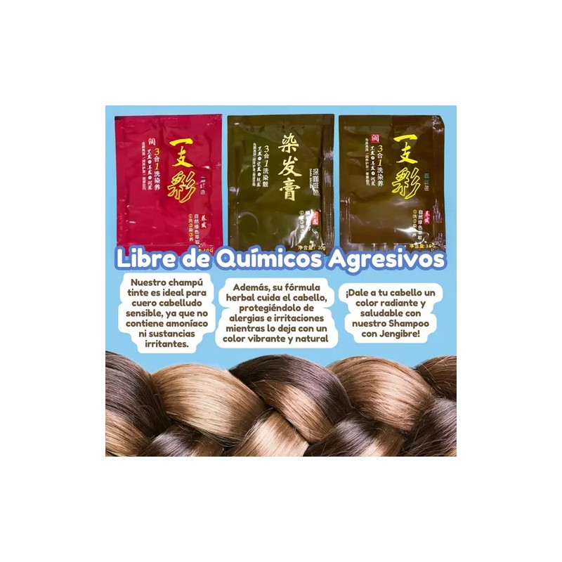 Paquete 10 Piezas Shampoo Tinte Color Negro Instantáneo 15min Cubre