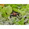 Gardena Micro-Drip-System Regulierventil - Inhalt: 5 Stück (13231-20)