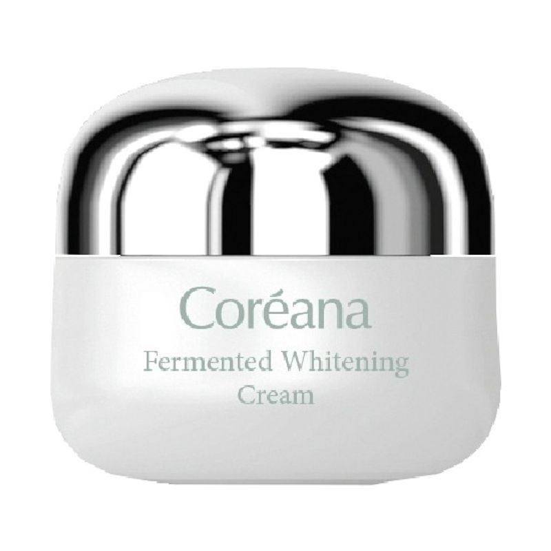 코리아나 (Big) Koreana fermented whitening whitening care cream 50ml 3