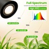 Grow Lights Indoor Plants, 20W Full Spectrum, 63in Adjustable Height