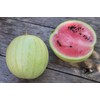 RAISE ME UP: Seeds Mickylee Watermelon Non GMO Heirloom