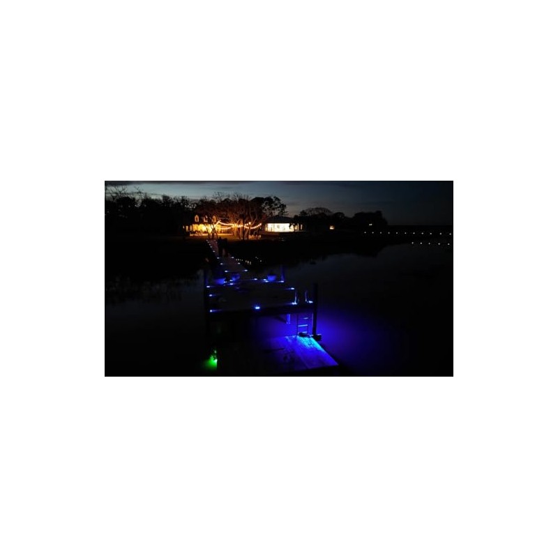 Hydro Glow Solar Pathway Submersible LED Light, IP68 Waterproof, High-Impact