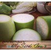 Big Pack - (50) Calabash Long Squash/Melon Seeds, Opo Bottle