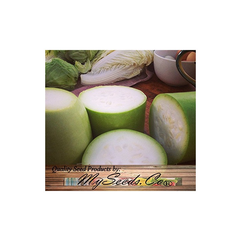 Big Pack - (50) Calabash Long Squash/Melon Seeds, Opo Bottle