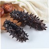 KICHOUSE 3pcs Lifelike Artificial Sea Cucumber Models Display Props Fun