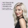 Acondicionador Perfect Blonde Pravana Matizador Rubios