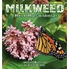 MILKWEED